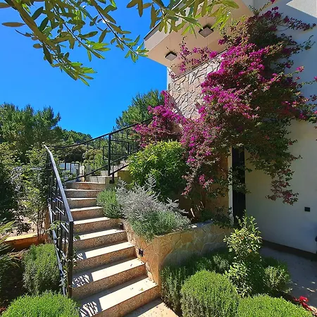 My Place Hvar
