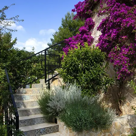 Apartment My Place Hvar *