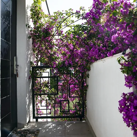 My Place Hvar *