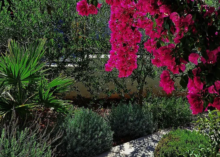 My Place Hvar